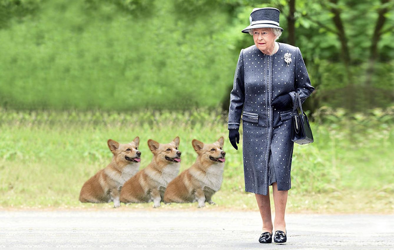 Animales: La reina Isabel no quiere más perros porque teme dejarlos ...